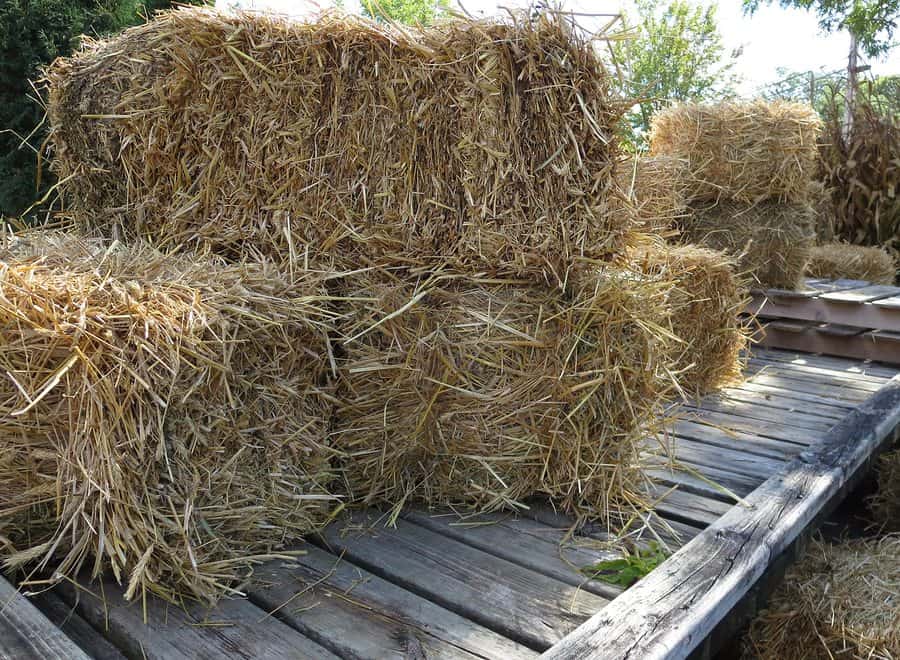 hayride accident lawyer